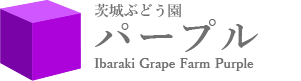茨城ぶどう園パープル